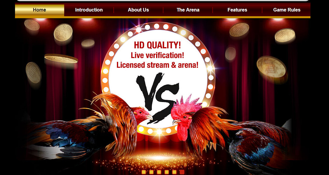 Đá gà S128 - Kênh cá cược cung cấp nhiều trận đá gà gay cấn 4 Đá gà là một trong những mảng thế mạnh của nhà cái S128