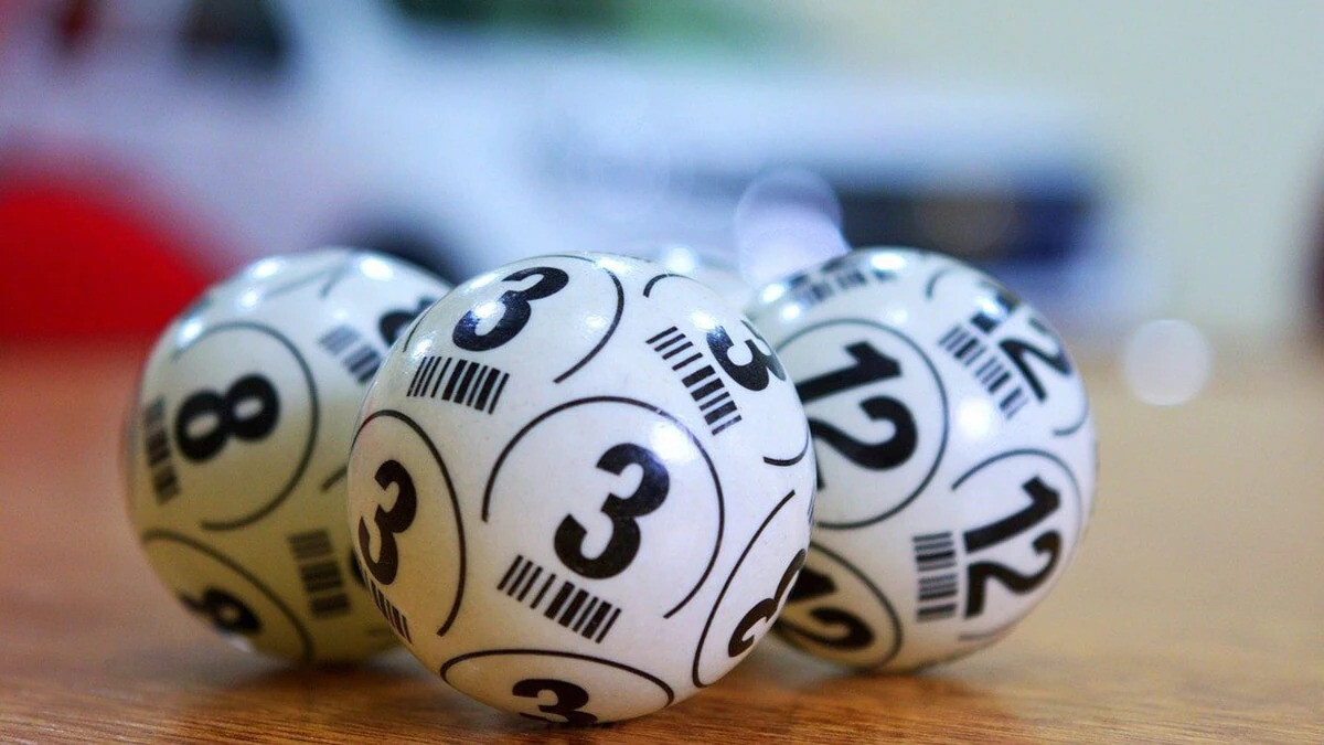 Nên cân nhắc số vốn của bạn có thích hợp để nuôi dàn đề 60 con hay không