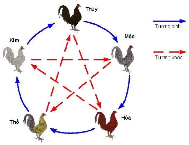Hướng dẫn xem ngày đá gà tốt chi tiết nhất