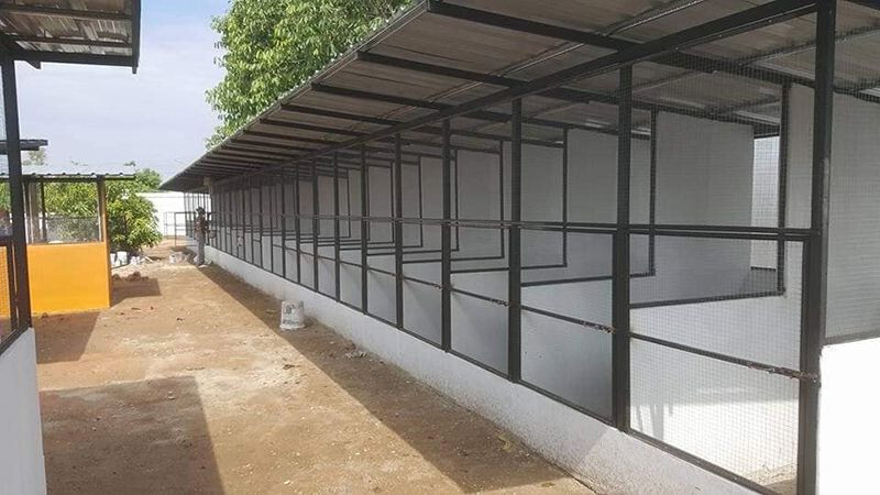 Các bước xây dựng mô hình nuôi gà chọi đúng chuẩn