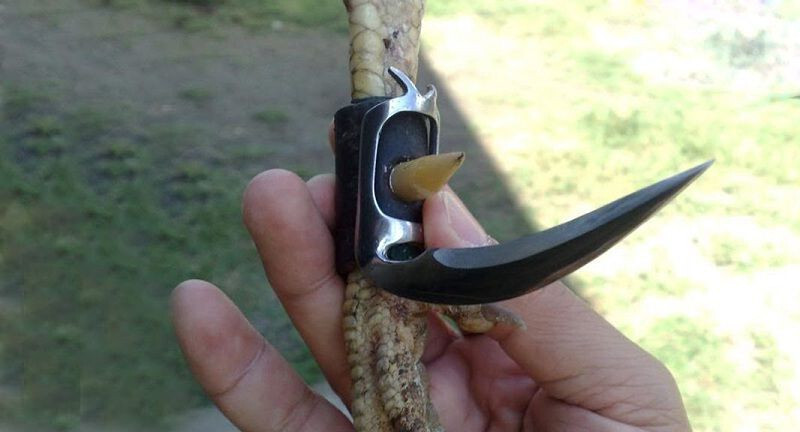 Các loại cựa gà tre đá hiện nay