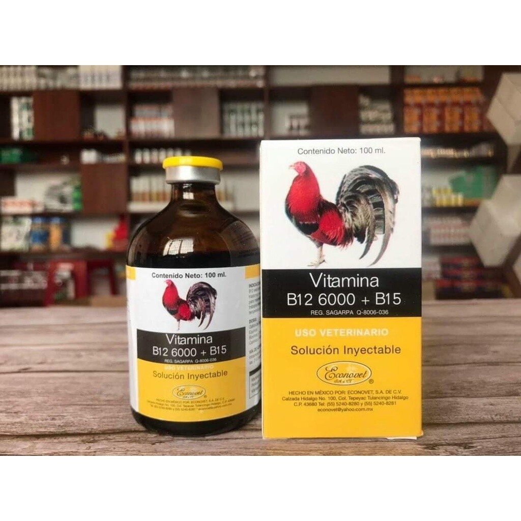Thuốc tăng lực B12 6000 cho gà đá hiện nay được nhiều người lựa chọn