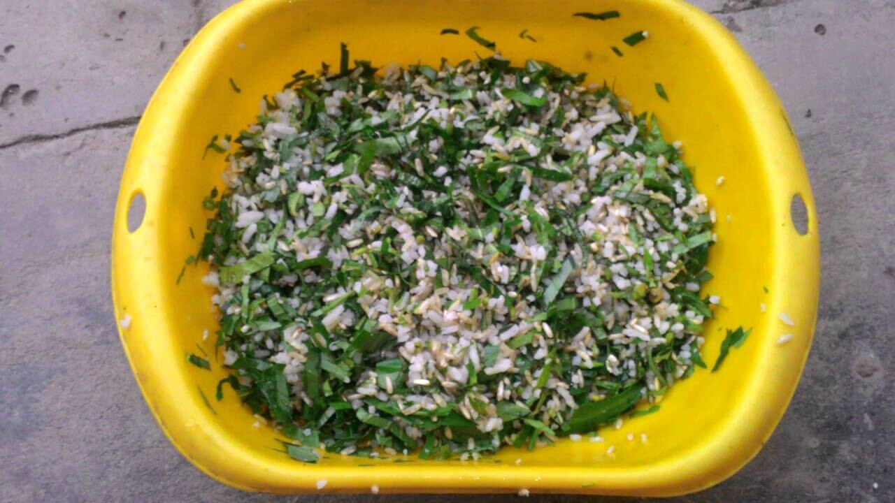 Trong danh sách thức ăn cho gà chọi, rau xanh luôn là thành phần không thể thiếu