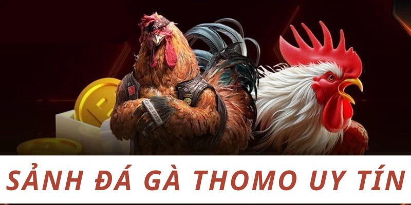 Một số sảnh đá gà Thomo uy tín anh em nên biết